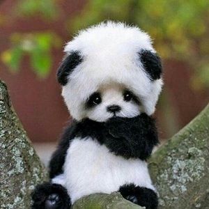 Meet your Posher, Gabby